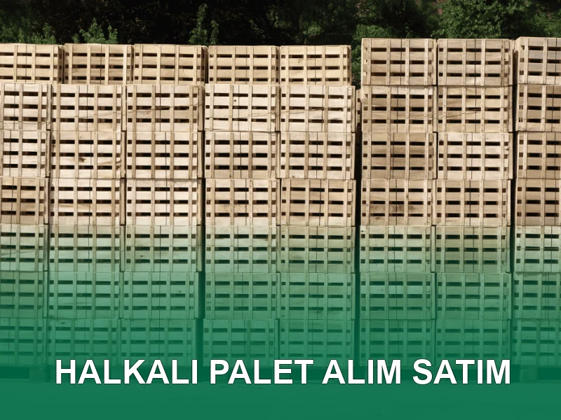 Halkalı Palet Galeri 3